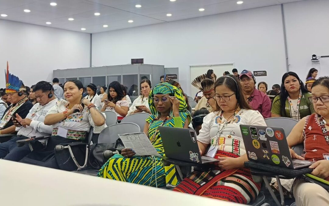 Las cuatro peticiones de los pueblos indígenas a la presidencia de la COP