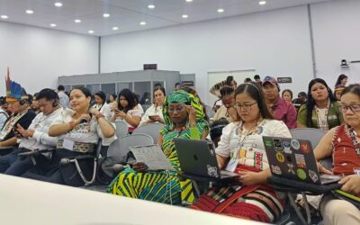 Las cuatro peticiones de los pueblos indígenas a la presidencia de la COP