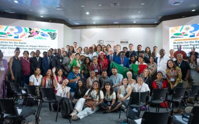 Pueblos indígenas de América Latina y el Caribe piden a la COP que reconozca que su papel es decisivo