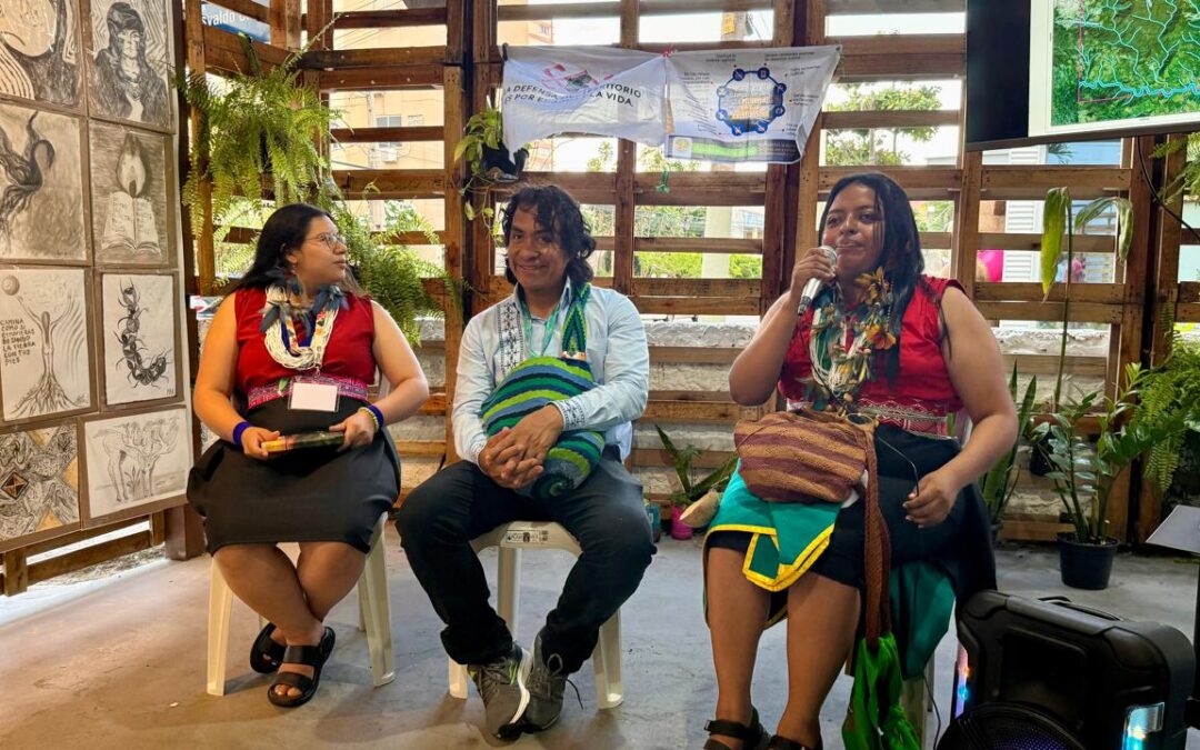 Defensoras Territoriales Indígenas frente a las economías extractivas y la transición energética en Colombia