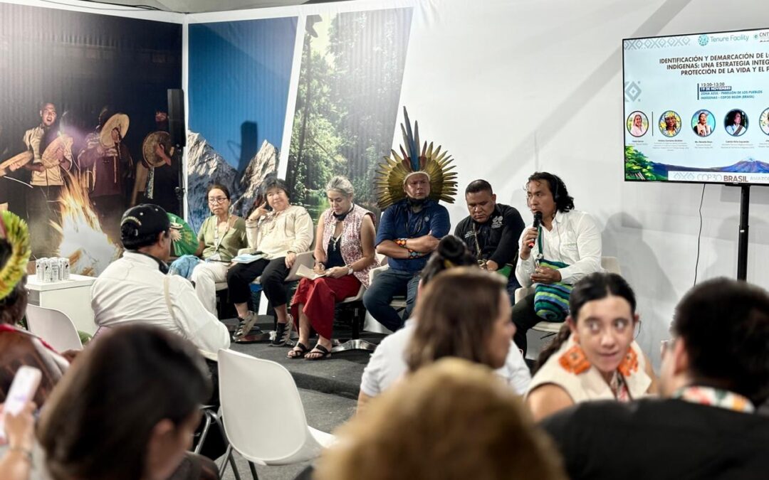 El tema del territorio se tomó la agenda de los pueblos indígenas en la COP 30