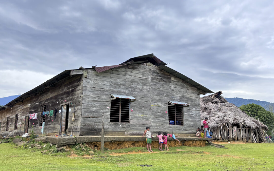 Defender el territorio: un principio fundamental como pueblos indígenas