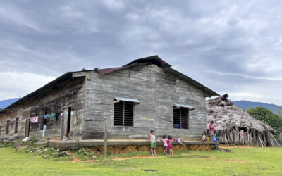 Defender el territorio: un principio fundamental como pueblos indígenas
