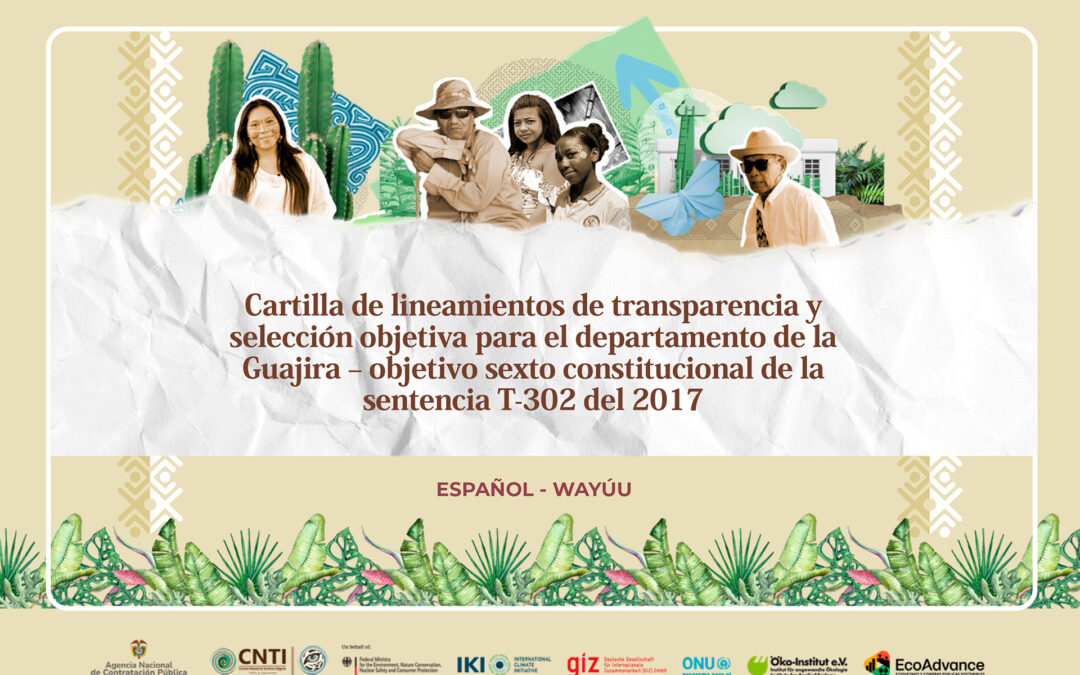 Cartilla de lineamientos de transparencia y selección objetiva para el departamento de la Guajira – objetivo sexto constitucional de la sentencia T-302 del 2017
