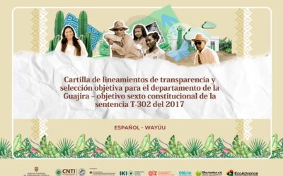 Cartilla de lineamientos de transparencia y selección objetiva para el departamento de la Guajira – objetivo sexto constitucional de la sentencia T-302 del 2017