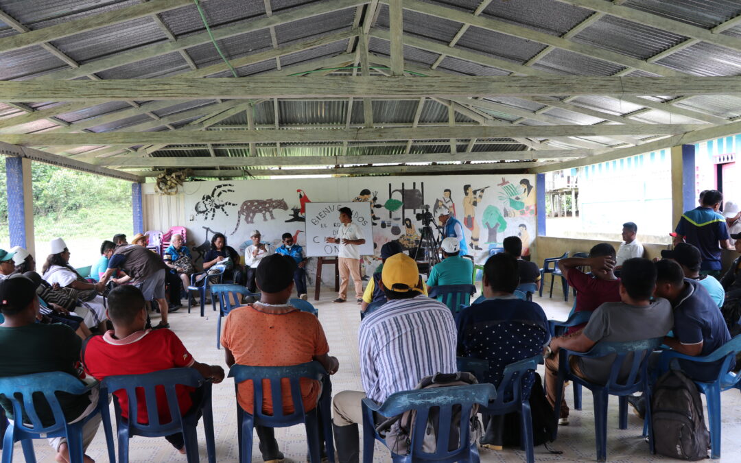 La consulta previa: un pilar irrenunciable para garantizar los derechos territoriales de los Pueblos Indígenas en Colombia