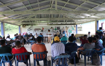 La consulta previa: un pilar irrenunciable para garantizar los derechos territoriales de los Pueblos Indígenas en Colombia