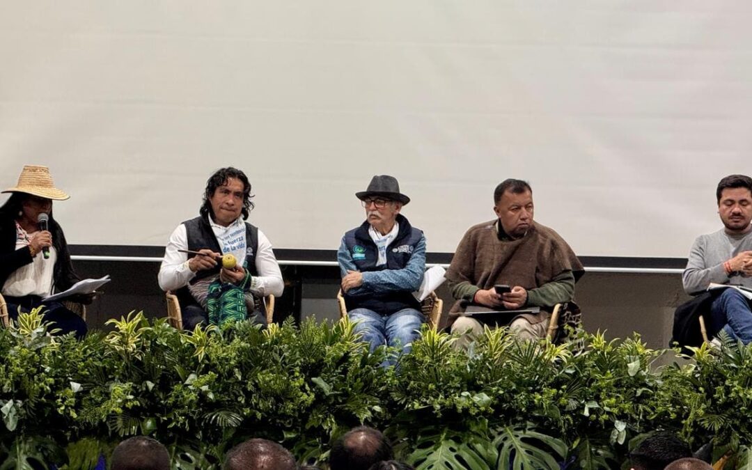 ¿Qué está pasando con la Directiva 001 de 2025?