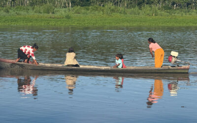 Corte Constitucional declara ajustado a la Constitución Política el Decreto 1275 de 2024. Un paso importante hacia la formalización de la autonomía y el gobierno propio territorial de los Pueblos Indígenas del país