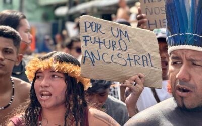 Día Internacional de los Derechos Humanos: los Pueblos Indígenas levantamos la voz por la vida y el territorio