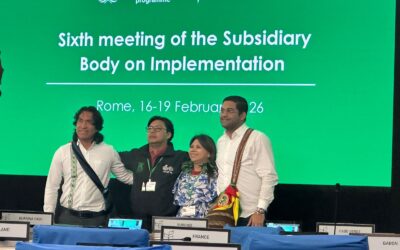 Sin autonomía ni financiamiento directo no hay cumplimiento efectivo de las metas del Convenio sobre la Diversidad Biológica (CDB)