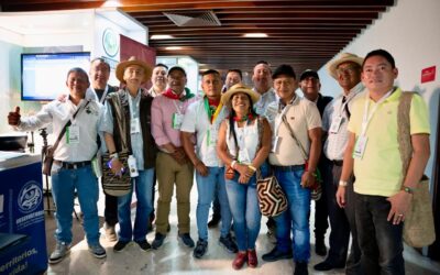 Segundo día – II Conferencia Internacional de Reforma Agraria y Desarrollo Rural