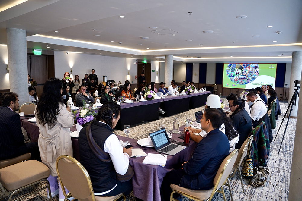 Se instala la Mesa Técnica Interinstitucional de la Meta 3 en el marco de la Ruta Indígena del PAB 2030