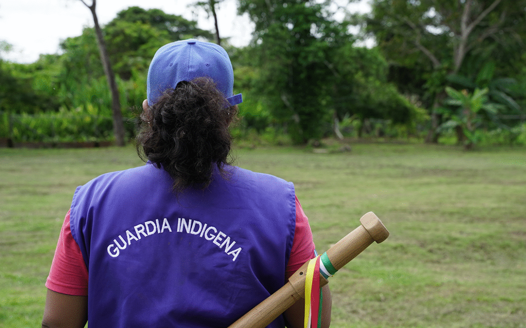 Un patrón de desconocimiento de los derechos territoriales de los Pueblos Indígenas en Colombia
