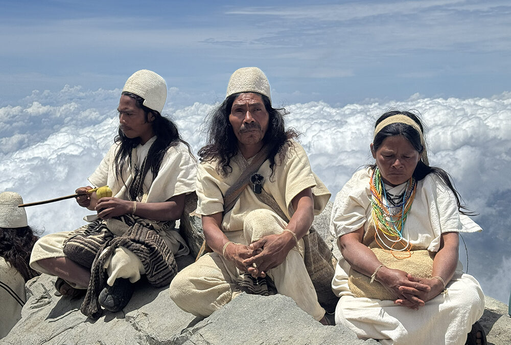Reserva ambiental de cerca de un millón de hectáreas en el Territorio Ancestral de la Línea Negra: un paso acertado hacia la protección permanente de la vida en nuestros territorios