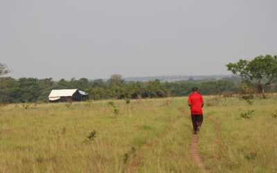 La Corte Constitucional adopta medidas urgentes para proteger la comunidad de Barrulia, del Pueblo Sikuani