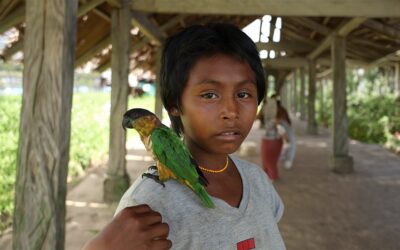 Día Internacional de la Diversidad Biológica – Sin Pueblos Indígenas no hay biodiversidad