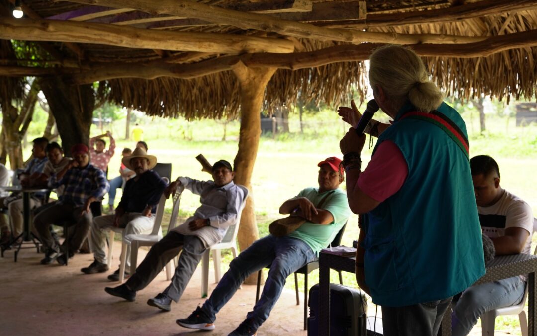 Rechazamos los hechos de violencia e intimidación contra la comunidad Iwitsulibo del Pueblo Sikuani y exigimos garantías para la protección de su territorio ancestral