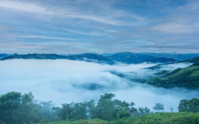 Día de la Pachamama: defender la Madre Tierra exige garantizar los territorios indígenas