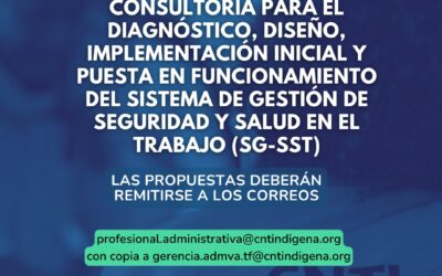 Consultoría para el diagnóstico, diseño, implementación inicial y puesta en funcionamiento del Sistema de Gestión de Seguridad y Salud en el Trabajo (SG-SST)