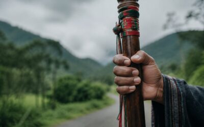 ¡Que defender los territorios no nos cueste la vida!
