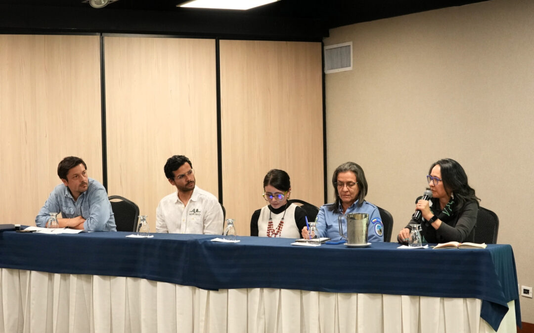 Chey y Tucunaré: información para la autonomía, la seguridad jurídica y la defensa territorial