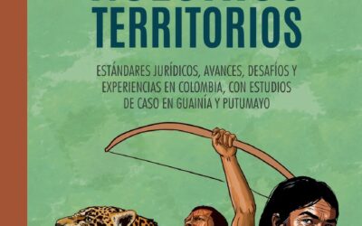 Formalizar nuestros Territorios: Estándares jurídicos, avances, desafíos y experiencias en Colombia, con estudios de caso en Guainía y Putumayo.