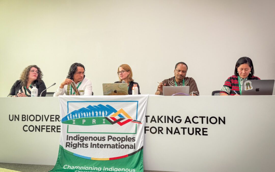 En la COP17 exigimos proteger a quienes defienden los territorios y sostienen la biodiversidad