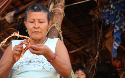 Exigimos garantías para nuestros territorios y para quienes lo defendemos en la COP17 y la COP31