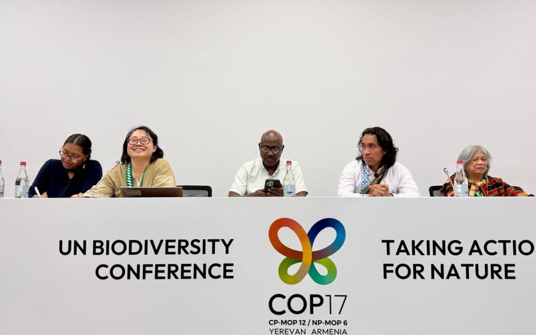 Nuestros datos deben incidir en las decisiones sobre biodiversidad y derechos territoriales