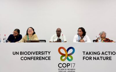Nuestros datos deben incidir en las decisiones sobre biodiversidad y derechos territoriales