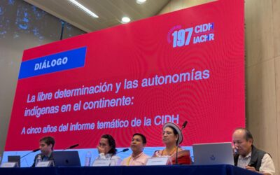 CNTI y MPC articulamos nuestra participación ante la CIDH por la libre determinación y las autonomías indígenas