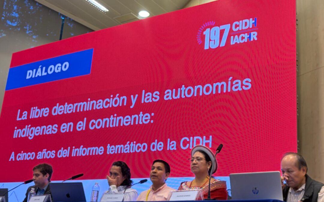 CNTI y MPC articulamos nuestra participación ante la CIDH por la libre determinación y las autonomías indígenas